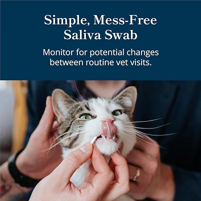 Petivity At-Home Oral Health Test for Cats & Dogs — 10-Second Dental Check Kit by Purina — Simple Saliva Swab to Detect Bad Breath & Gum Issues - (Pack of 1)