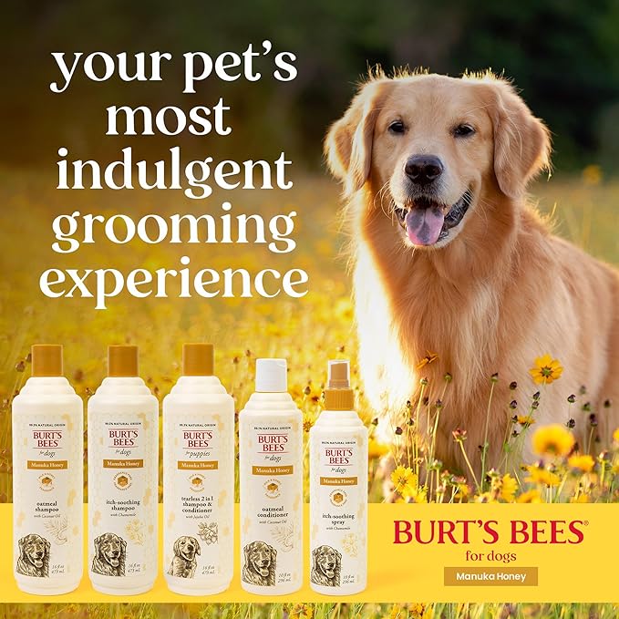 Burt's Bees for Pets Manuka Honey Oatmeal Shampoo for Dogs, Colloidal Oatmeal & Coconut Oil, 95%+ Natural Origin, No Sulfates, Parabens or Phthalates, Milk & Honey Scent, 16 Fl Oz