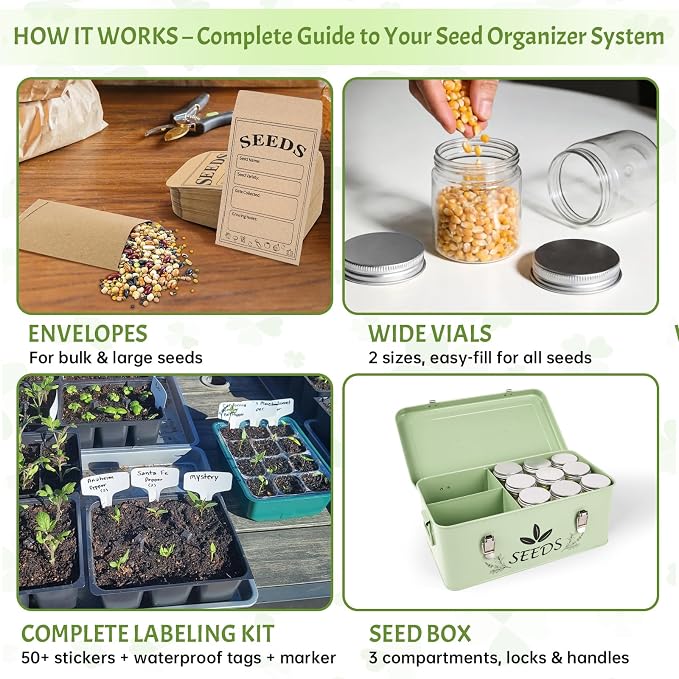 Spring Seed Storage Organizer | 3-Compartment Metal Seed Box with Locking Lid | 18 Wide-Mouth PET Vials, 30 Envelopes, 500+ Labels | Portable Seed Bank & Gift (Mint Green)