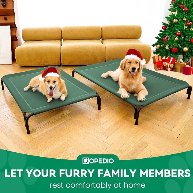 Elevated Dog Bed Outdoor Cooling Raised Cot for XL Dogs, Green 48.8in | Tool-Free Installation; Washable Cooling Breathable Mesh; Anti-Slip Feet; Indoor & Outdoor Use