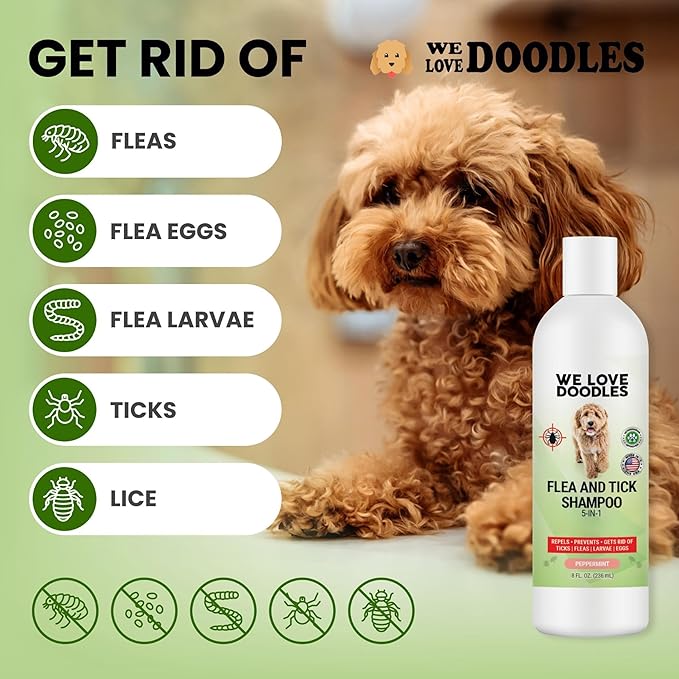 We Love Doodles Flea Shampoo for Dogs - Stops Fleas & Ticks for Dogs, Natural, Safe & Effective Lice Treatment, Soothing Shampoo for Sensitive Skin, Manufactured in USA (8 fl oz)