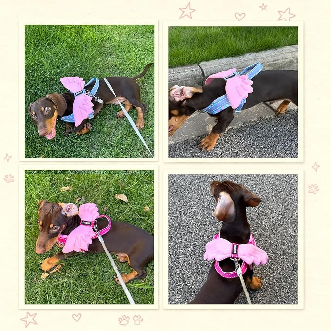 HDKUW Small Dog Harness with Angel Wings, Green XS
