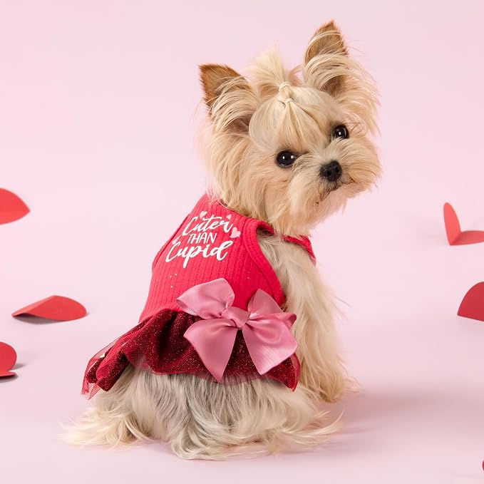 Fitwarm Cuter Than Cupid Dog Tulle Dress, Cute Girl Dog Clothes, Funny Pet Apparel, Burgundy Red, XXS