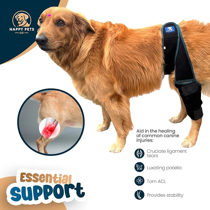 Dog Knee Brace Adjustable Front Hind Leg Brace for Cruciate Ligament Injury, Luxating Patella, Torn ACL