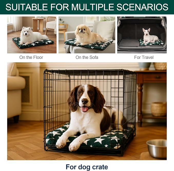 Washable Dog Bed Mat with Anti-Slip Bottom, Deluxe Plush Memory Foam Crate Pad & Waterproof Outdoor Kennel Mat for Dogs & Cats-Durable Crates Beds, Large Medium Small Puppy Size24 x 18",Green
