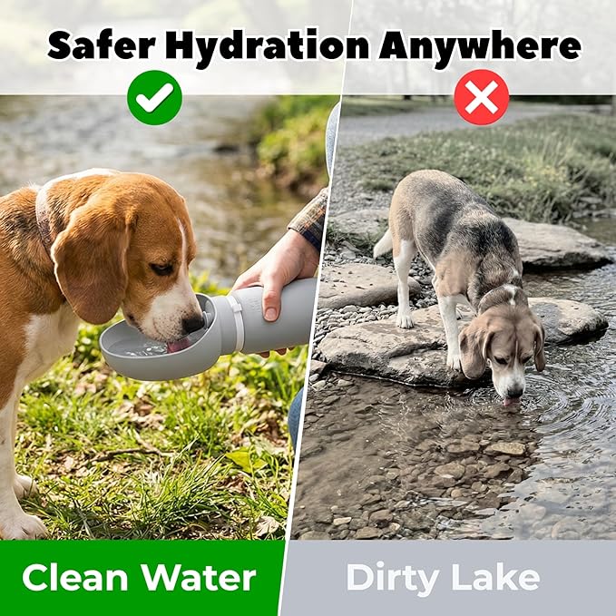 BICYSTAR Collapsible Water Bottle for Dogs, Foldable Leak-Resistant w/Drain-Back, Pet Travel Bowl, 18.6oz for Walks, Hiking & Road Trips