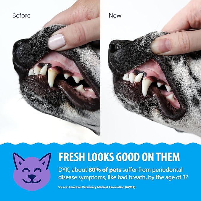 Dental Fresh Plaque & Tartar Control Water Additive for Dogs & Cats – Helps Support Clean Teeth, Healthy Gums & Fresh Breath Just add to Water – Advanced Formula Oral Care, 17 fl oz
