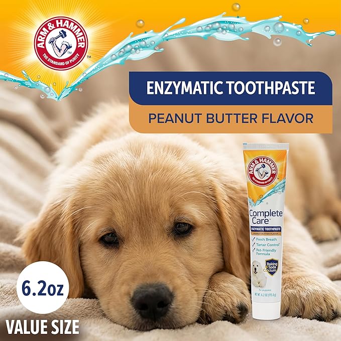 Arm & Hammer Complete Care Enzymatic Puppy Toothpaste, Peanut Butter Flavor, Enzymatic Dog Toothpaste for Puppies, Baking Soda + Calcium Formula, 6.2oz