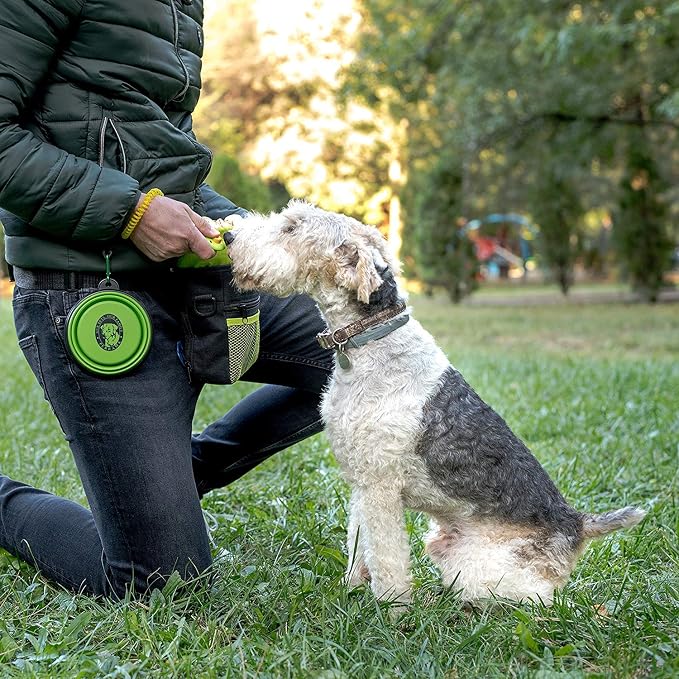 Dog Treat Pouch for Training & Walking, Pet Treat Bag with Poop Bag Dispenser, Pro Clicker, Collapsible Travel Bowl & Reflective Shoulder Strap - Black/Green