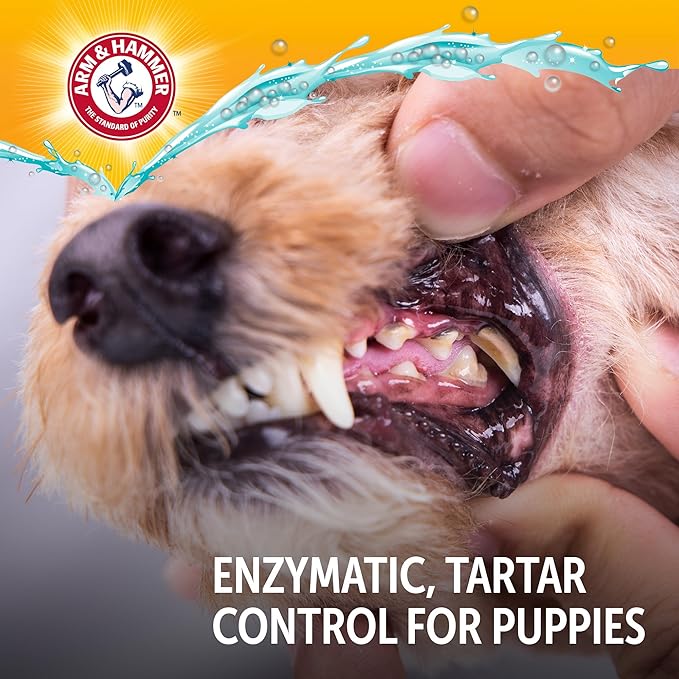 Arm & Hammer Complete Care Enzymatic Puppy Toothpaste, Peanut Butter Flavor, Enzymatic Dog Toothpaste for Puppies, Baking Soda + Calcium Formula, 6.2oz