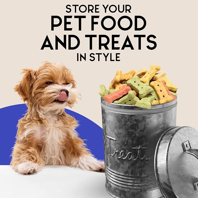 Amici Pet, Retro Treats Galvanized Relief Lettering Metal Storage Canister, Food Safe, Push Top, 72 Ounces (Pack of 2)