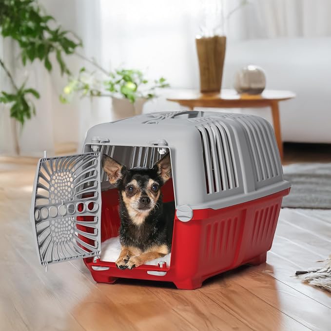 Midwest Homes Spree Travel Carrier, Small, Red - Dog & Cat Crate | Hard-Sided Pet Carrier, Plastic Door, Ventilated Design, Locking Tabs, Easy Assembly