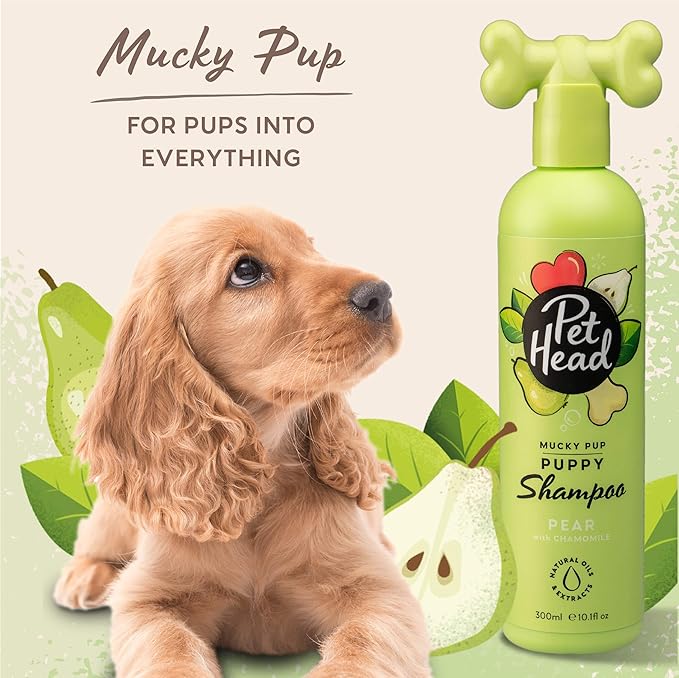 Pet Head Mucky Pup Puppy Shampoo | Pear Scent | Shampoo for Puppies from 8 Weeks | Professional Grooming | Vegan Dog Shampoo | Gentle Formula for Puppies | Made in USA | 16 fl. oz.