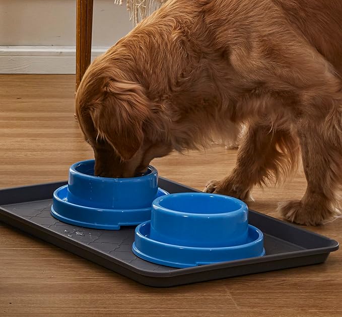 PetLike Ants Away Dog Bowls Pet Food Bowls, No Spill Cat Food Bowl Water Food Feeder Pet Dishes for Cat Puppies Small Medium Dogs…