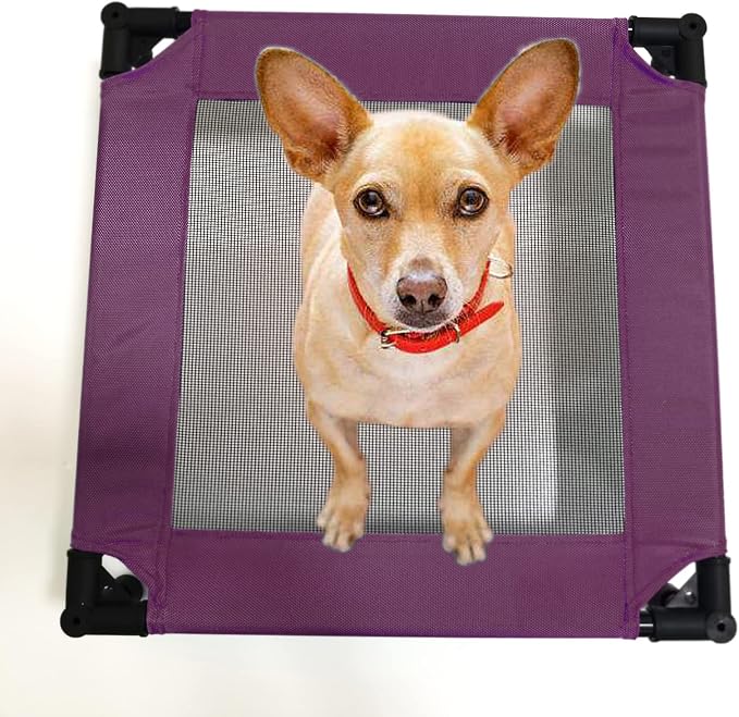 Pozico Elevated Pet Bed with Breathable Mesh for Small Cat and Dog, Raised Cooling Pet Cot for Puppy and Kitty, 18.9x18.9 inch (Purple Bed)