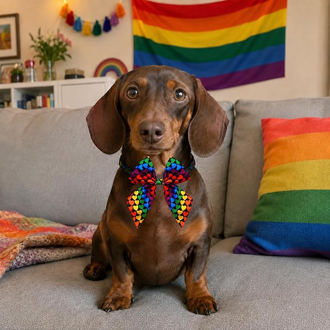 PET SHOW 10 Pack Pride Month Sailor Dog Bowties for Small Dogs