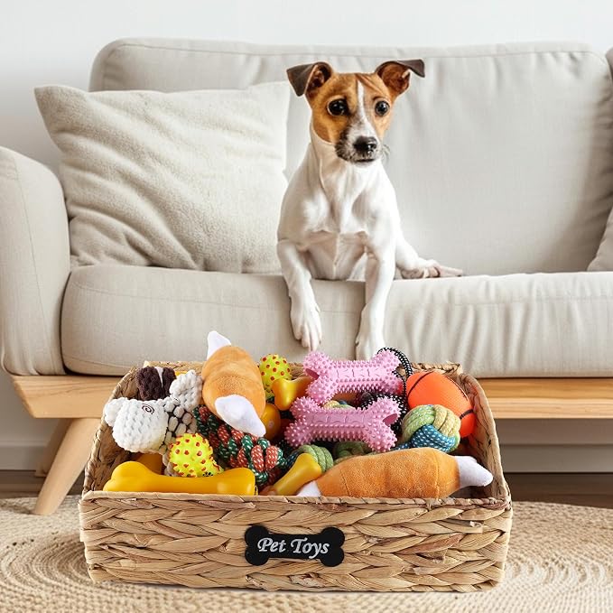 Trapezoid Pet Dog Toy Basket,Collapsible Dog Toy Bin,Wicker Basket for Dog Cat Toys,Pet Toy Box,Dog Storage Organizer for Leash Blanket Toys Snacks-Natural Farmhouse Water Hyacinth