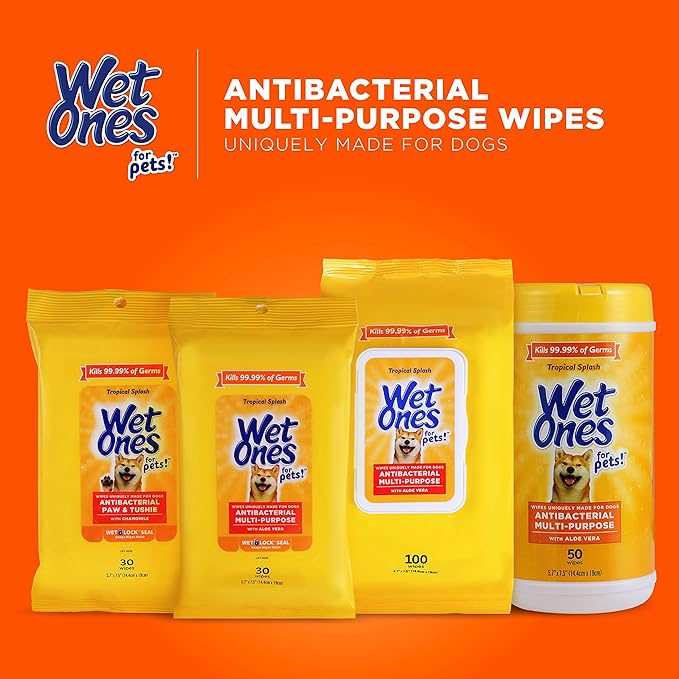 Wet Ones for Pets Multipurpose Dog Wipes with Aloe Vera, Tropical Splash Scent - Pet Bathing Wipes with Wet Lock Seal for Dog Paws and All-Over Use, 100 Count - 12 Pack
