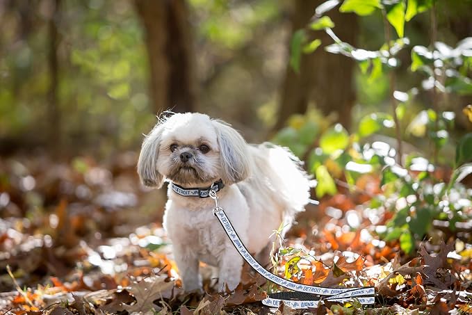 Pets First NFL Licensed Detroits Lions Pet Leash, Size Large – Durable Satin Dog & Cat Walking Strap and Pet Tether with Embroidered Team Name & Logo