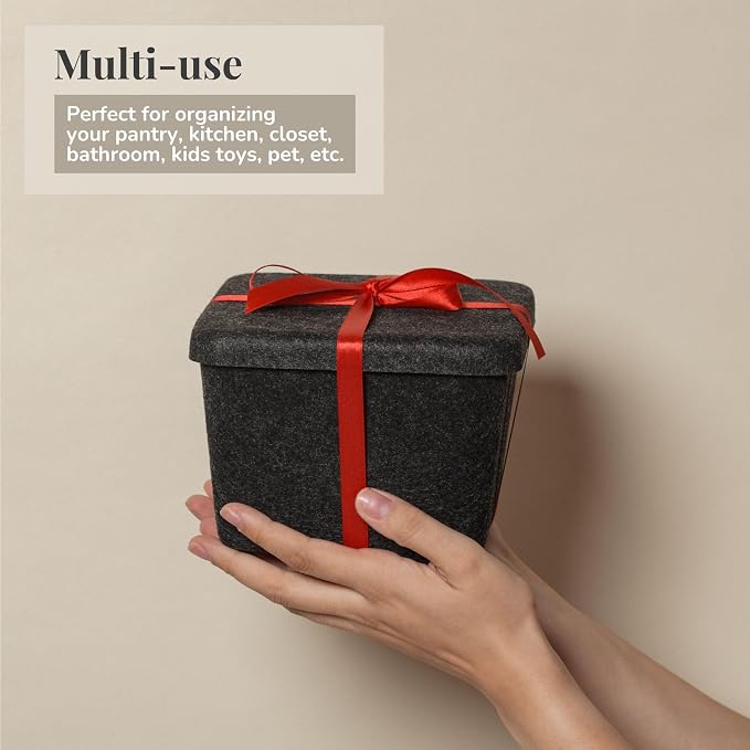 SortJoy The Sculpted Bin - Petite with Lid Set of 3 Storage Bin Felt Storage Basket Drawer Organizer Clothes Closet Cabinet Bathroom, Pantry, Kitchen Bin: 6.3" x 6.3" x 4.5" (Carbon, Dark Grey)