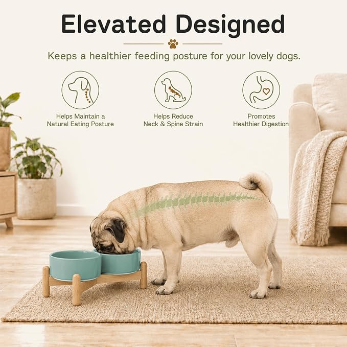 Havniva Ceramic Dog Bowls Elevated, Raised Dog Food Bowl for Puppies | 5.1” Elevated Dog Bowls, Non-Slip Wood Stand, Dog Food and Water Bowl Set, Dog Feeding Dish, Large Capacity Pet Water Bowl