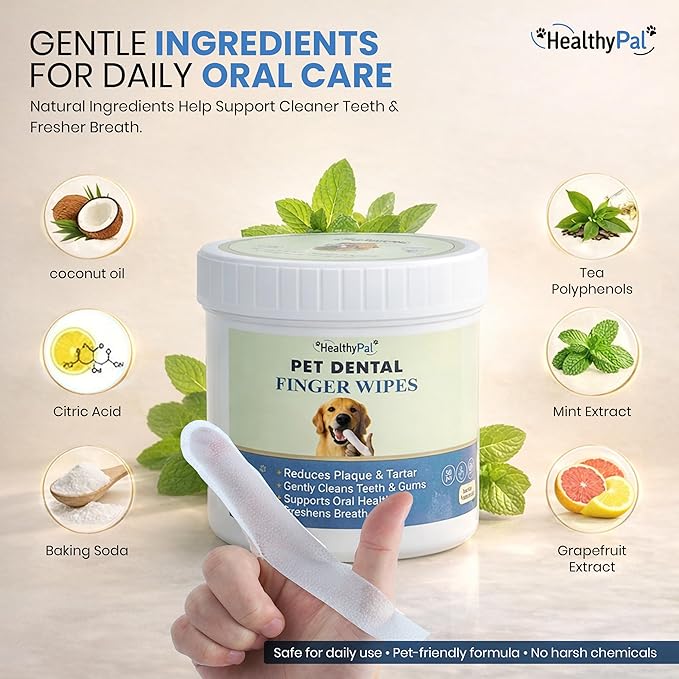 Pet Dental Finger Wipes for Dogs & Cats – 50 Mint Flavor Dog Dental Wipes + Mint Fresh Breath Spray, Dog Tooth Brushing Kit, Helps Remove Bad Breath & Plaque & Tartar Buildup