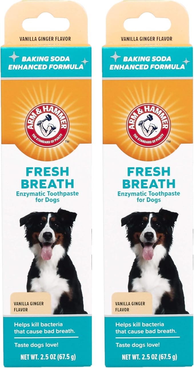 Arm & Hammer for Pets Fresh Breath Enzymatic Dog Toothpaste, Vanilla Ginger Flavor, Safe for Puppies and Adult Dogs, Daily Baking Soda Dental Gel to Eliminate Bad Breath, 2.5 Oz - 2 Pack