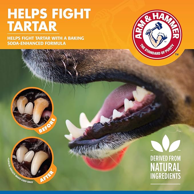 Arm & Hammer Clinical Care Dental Rinse for Adult Dogs, Odorless Flavorless No Taste Water Additive for Dog Dental Care, Helps Reduce Tartar & Freshen Breath, 16 Fl Oz - 24 Pack
