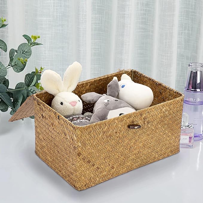 Hipiwe Small Woven Shelf Baskets Bin with Lid Seagrass Wicker Storage Box | Handmade Seagrass Basket Organizer Rectangular Household Basket Boxes for Shelf Wardrobe Home Decor, Caramel