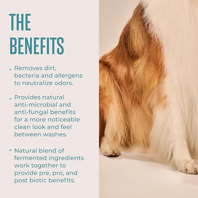 WagWell Daily Cleansing Dog Wipes, 50 Count | Vet-Approved, Helps Reduce Odor, Fragrance-Free, Microbiome-Friendly Dog Grooming Wipes | Gentle Head-to-Tail Cleaning for Paws, Coat & Skin (Avoid Eyes)