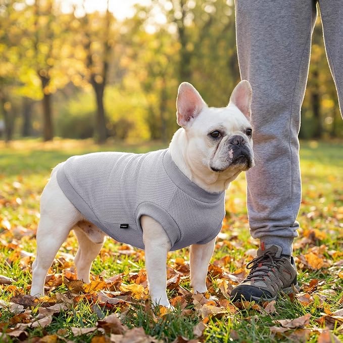 1 Pack Dog Shirt for Small Supplies Functional Waffle Dog Clothes Warm Soft Sweatshirt Outfit for Dogs Cats Pet Apparel
