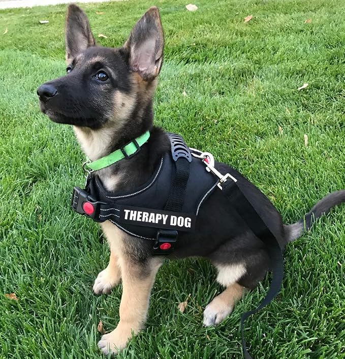 Fairwin Therapy Dog Dog Patches, Reflective Removable Dog Tags for Service Vest Dog Harness