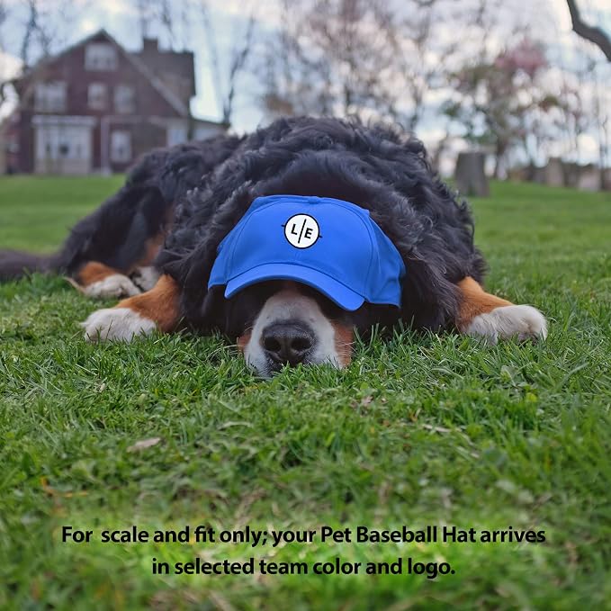 Littlearth Unisex NHL Pet Baseball Hat