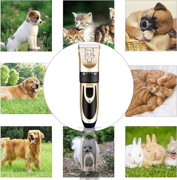 Highdas Dog Clippers for Grooming Rechargeable, Electric Dog Grooming Kit Clippers Low Noise, Cordless Quiet Dog Shaver, Pet Hair Trimmer Set for Dogs, Cats, Pets (Gold)
