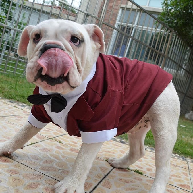 Lovelonglong Bulldog Costume Dog Suit Formal Tuxedo with Black Bow Tie Wedding Clothes for Pugs/French Bulldog/English Bulldog/American Pit Bull Brown B-M