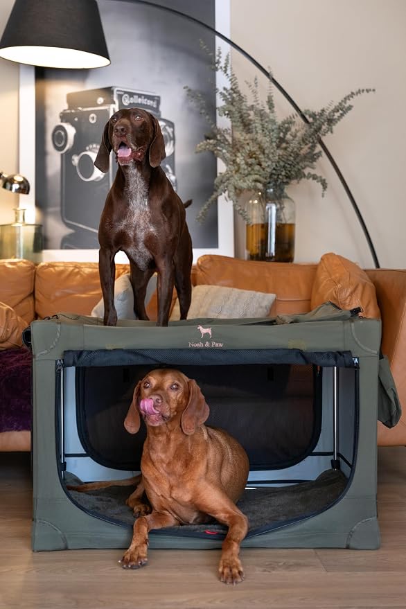 Noah & Paw Collapsible Dog Crate 36 Inches, XL Dog Crate for XL, Large Medium Breed, Travel Kennel for Car, Includes Pet Mat for Pet Cage, 2 Storage Pockets, Handbag, 10mm Locking Zippers 36*25*23