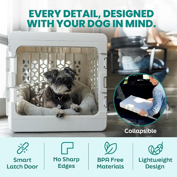 PAWD Collapsible Dog Crate, Portable Indoor Outdoor Kennel for Dogs 15–25 lbs, French Bulldog, Dachshund, Maltese, Pomeranian, Medium, 26" L x 20" W x 21" H, 12 lbs, White