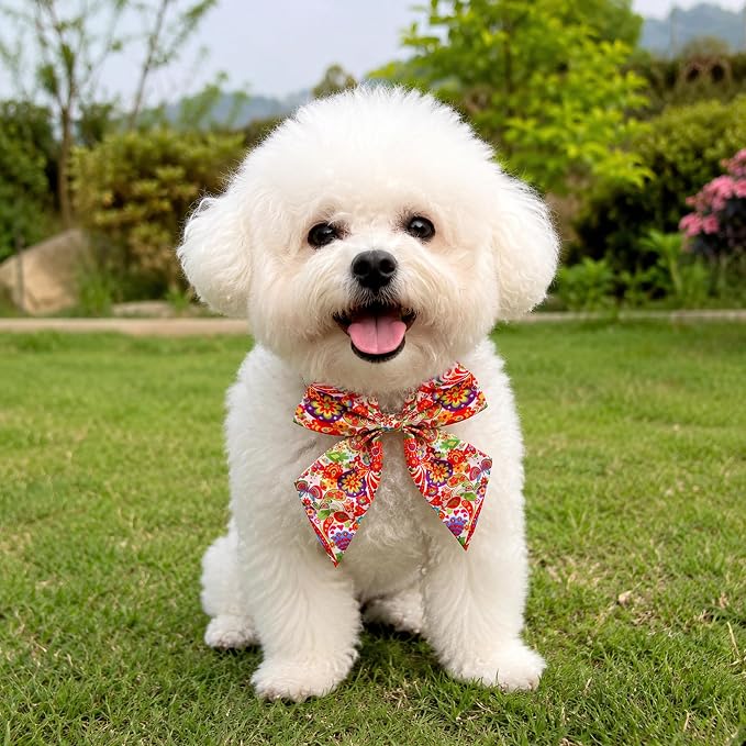 PET SHOW 10 Pack Paisley Sailor Dog Bowties for Small Dogs