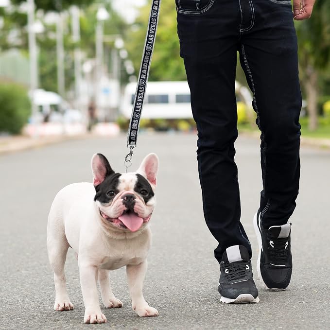 NFL PET Las Vegas Raiders Dog Leash, Small Football Team Leash for Dogs & Cats - Shiny & Colorful, Licensed by The NFL