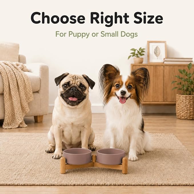 Havniva Ceramic Dog Bowls Elevated, Raised Dog Food Bowl for Puppies | 5.1” Elevated Dog Bowls, Non-Slip Wood Stand, Dog Food and Water Bowl Set, Dog Feeding Dish, Large Capacity Pet Water Bowl
