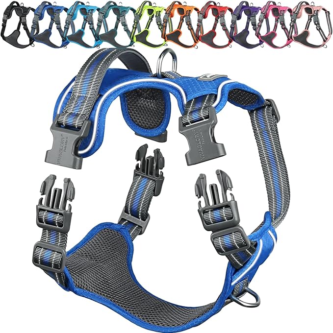VIVAGLORY No Pull Dog Harness Vest Harness, M, Royal Blue - Patterned | with Handle Front and Back Clip for Training & Pulling, No Pull & Escape Proof Padded Adjustable for Pet Puppy