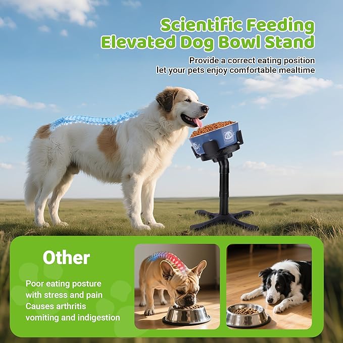 Dog Bowls Elevated Adjustable Stand, Raised Bowl with 3 Heights & Tilted Feeding Stand, Compatible with Various Bowls, for Medium & Large Breeds (1 Pack) Black