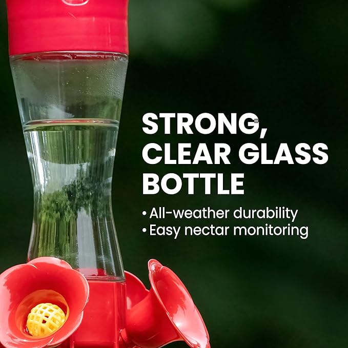 Perky-Pet Glass Hummingbird Feeders for Outdoors with Ant Moat, Bee Guards, & Perches, 8oz Nectar Capacity, Wide-Mouth Bottle for Easy Filling & Cleaning, Outdoor Garden Décor, 203CPBN-2 (Pack of 2)