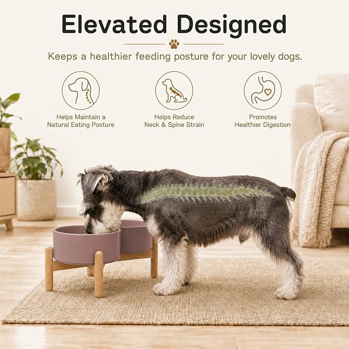 Havniva Ceramic Dog Bowls Elevated, Raised Dog Food Bowl for Small Dogs | 6.1” Elevated Dog Bowls, Non-Slip Wood Stand, Dog Food and Water Bowl Set, Dog Feeding Dish, Large Capacity Pet Water Bowl