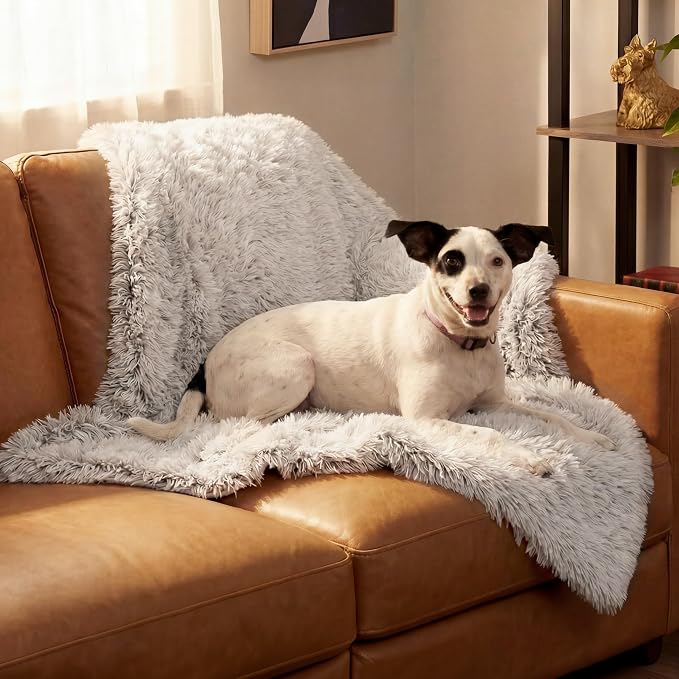 Furhaven Waterproof Throw Blanket for Dogs & Indoor Cats, Washable - Shaggy Plush Calming Long Faux Fur & Velvet Dog Blanket - Mist Gray, Medium