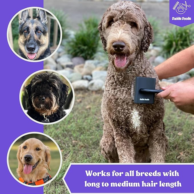 Dog Slicker Brush - Grooming Designed for All Poodles and Doodle Mixes – Fluff, Style, Detangle, and Demat – Ergonomic Handle Design – Angled Brush Pins that are Safe and Effective