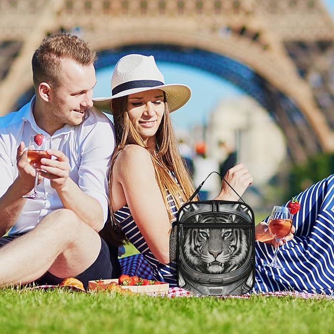 Colored Astro Pet Lunch Box Insulated Small Durable Handbag | Portable Organizer Lunch Bag Reusable Large Capacity Lunch Tote Bags with Mutiple Pockets for Work Office Travel Picnic