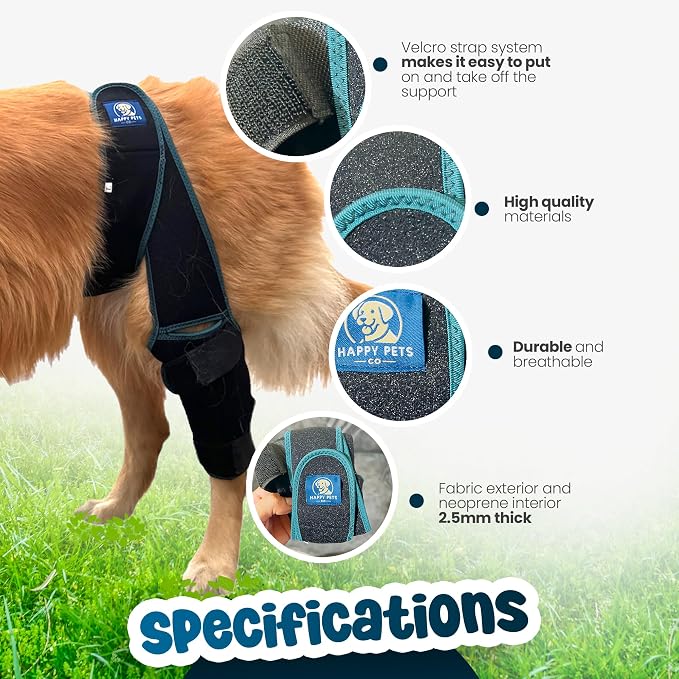 Dog Knee Brace Adjustable Front Hind Leg Brace for Cruciate Ligament Injury, Luxating Patella, Torn ACL