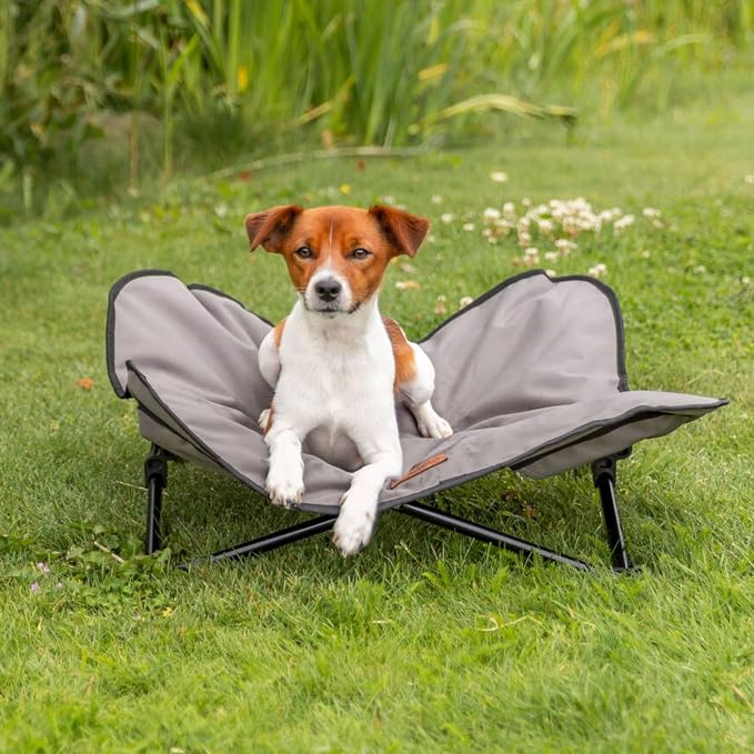 Trixie Camping Cot for Small Dogs up to 35 lb, 27.2" x 27.2" | Elevated Pet Travel Bed, Portable Steel Frame Lounger, Removable Topper, Foldable Design, Storage Bag Included