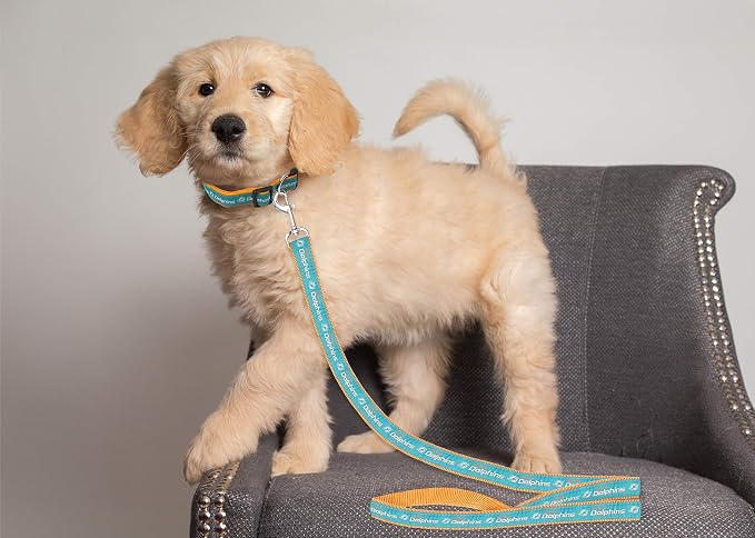 NFL Miami Dolphins Dog & Cat Leash - Medium, Shiny & Colorful with Embroidered Team Name/Logo Licensed by the NFL